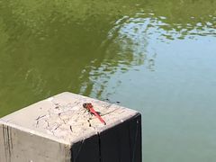 -北京宽沟会议中心