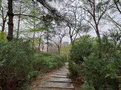 -元大都城垣遗址公园