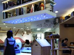 -喵园·猫主题咖啡厅·撸猫·猫咖(国贸店)