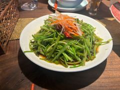 -菌自由丨野生菌火锅特色庭院餐厅(丽江古城店)