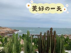 -广东惠东海龟国家级自然保护区