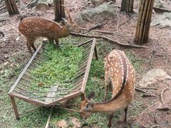-昆明动物园