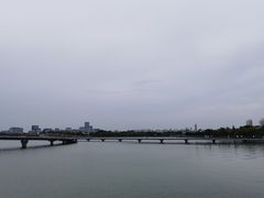 -金鸡湖景区