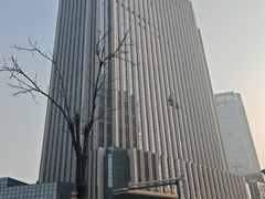 -兰州马子禄牛肉面(文景公园店)