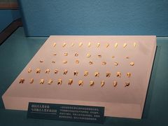 -湖南省地质博物馆