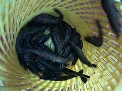 -八方海味餐厅