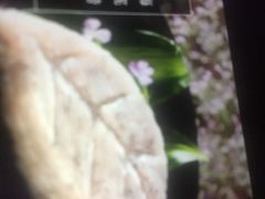 -海底捞火锅(万象城店)