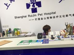 -睿金宠物医院·CT·肿瘤·骨外科