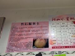 -老袁家蜜桃农场·阳山水蜜桃