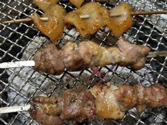 -瓦房店活羊大串(锦绣店)