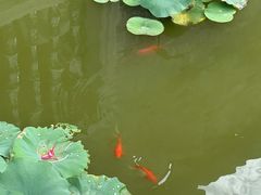 -梁园