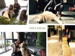 -百好乐宠物友好餐厅(朝外大街店)