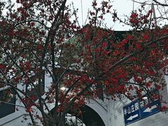 -桃源山庄·水蜜桃采摘·柴火鸡·烧烤团建(龙泉山店)