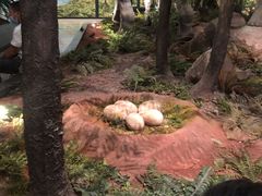 -湖南省地质博物馆