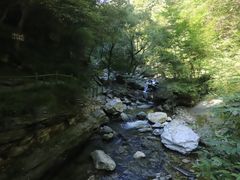 -少华山国家森林公园