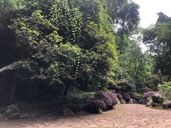 -杭州西湖风景名胜区-三生石