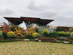 -上海长兴岛郊野公园