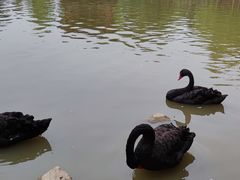 -河北村民俗体验园