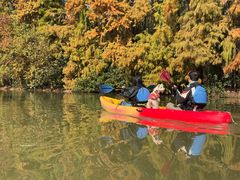 -上海海湾国家森林公园