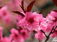 -南京金牛湖风景区