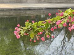 -海棠花溪(元大都城垣遗址公园)