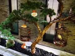 -小厨娘淮扬菜(六合欢乐港店)