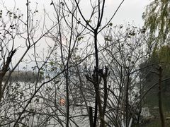 -艾溪湖湿地公园