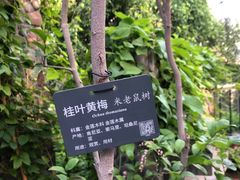 -北京植物园-展览温室