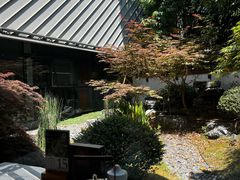 -久宴·天目湖大鱼头(恐龙园店)