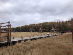 -塞罕坝国家级自然保护区