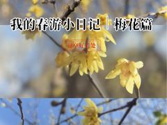 -杭州城北体育公园