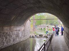 -白水寺森林公园