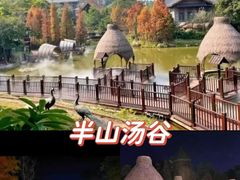 -美的鹭湖森林度假区