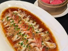 -茶人村·前滩江景雅宴(上海首店)