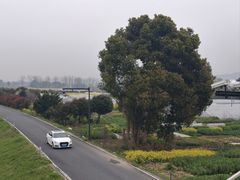 -东梓关景区村庄