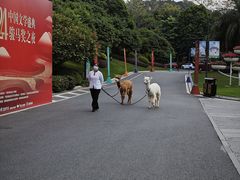 -南宁荔园维景国际大酒店·荔园中餐厅