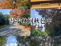 -南京市江宁方山