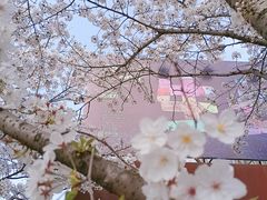 -龙美术馆(西岸馆)