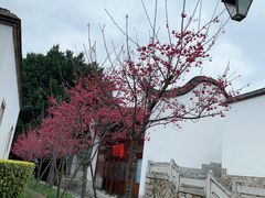 -乌山风景区
