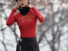 -盘龙城国家考古遗址公园