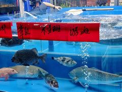 -明本湛江鸡•海鲜小厨(陈家祠店)