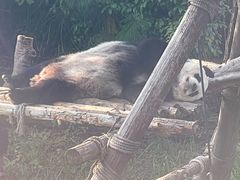 -宁波野生动物园