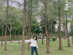 -晓港公园
