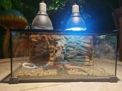 -酷嗒动物文化乐园(cutezoo西溪乐天城店)