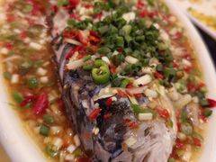 -飞虹鱼馆(春华路店)