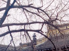 -西园戒幢律寺