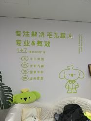 -凡碧诗毛孔清洁收细