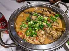 -全乐鱼馆·淳牌有机鱼直营店