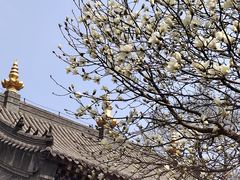 -护国法轮寺