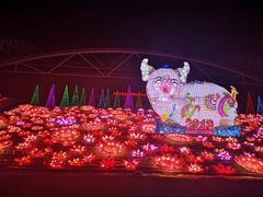 -沈阳奥体冰雪嘉年华
